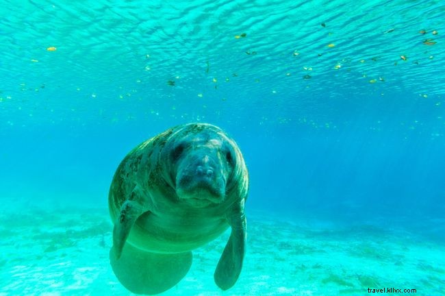 Now Available: Audio Versions of 8 Classic Wanderlust Travel Stories