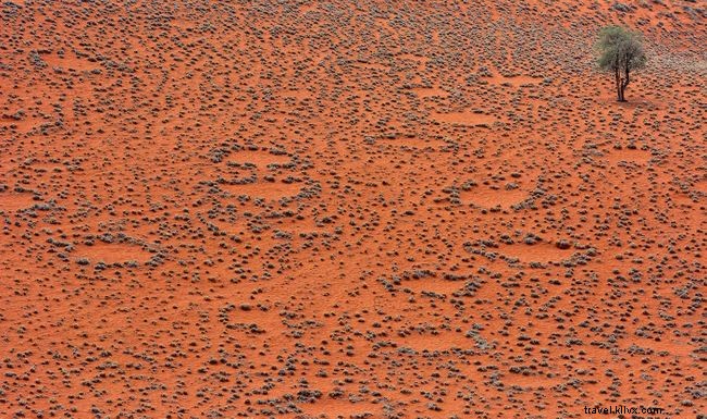 9 Ideal Destinations for Safe Social Distancing During COVID-19