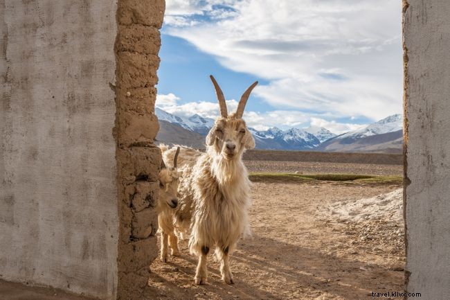 Top 7 Emerging Destinations for Unforgettable Travel