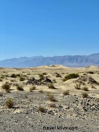 Ultimate Las Vegas to Grand Canyon Road Trip: Scenic Routes & Unforgettable Adventures