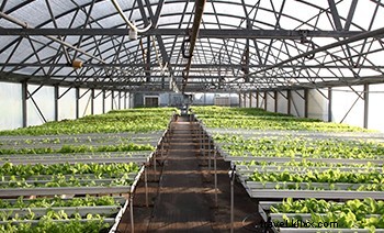 Discover Bermuda’s Best Fresh Markets for Local Food & Fresh Ingredients